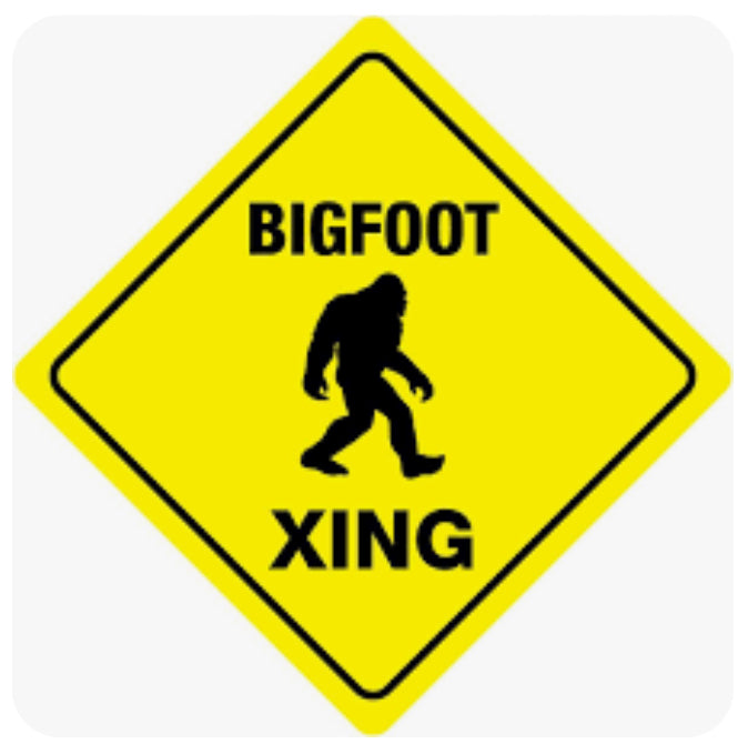 Big Foot Wall Art